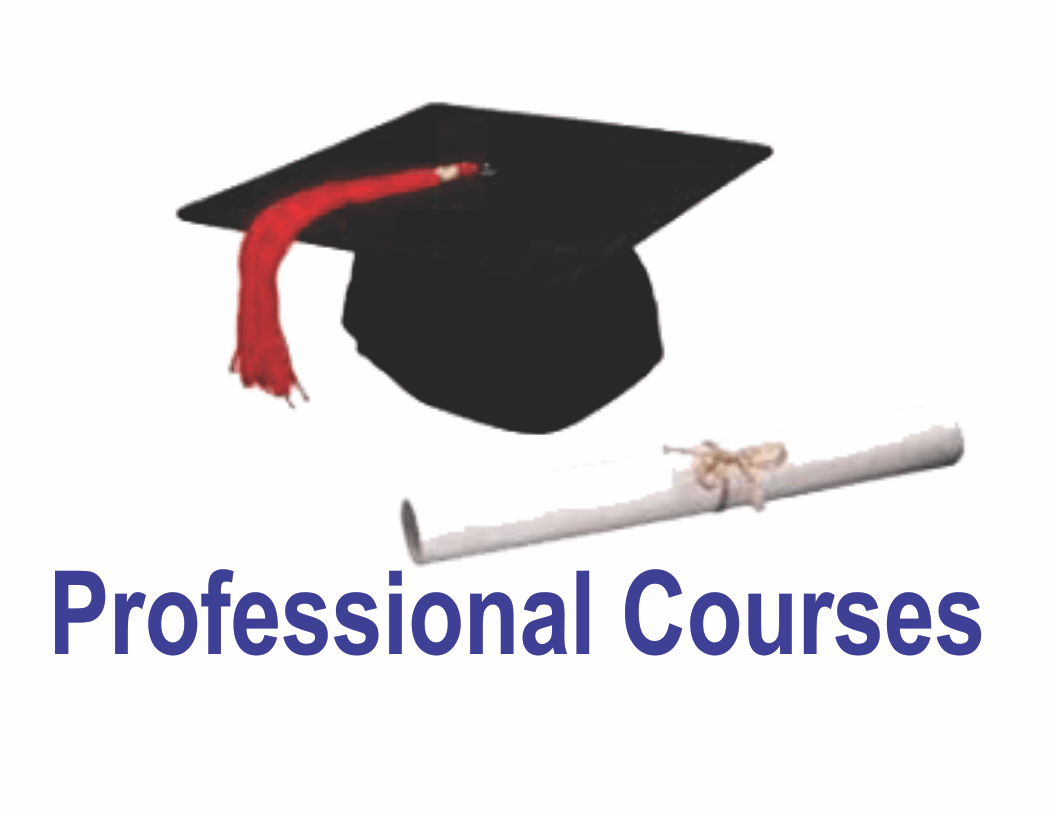 Professional course